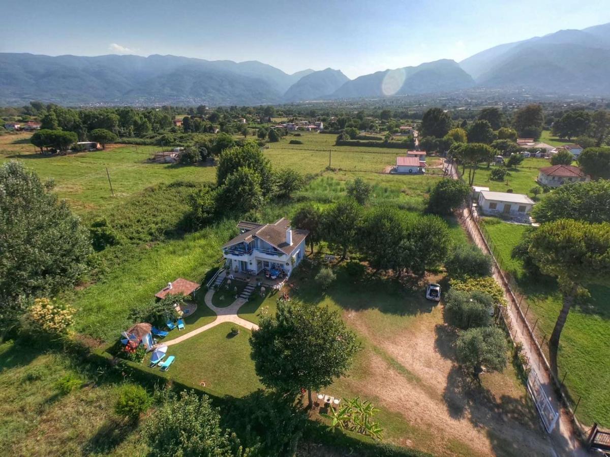 Vasiliki Holiday home Leptokarya (Pieria)