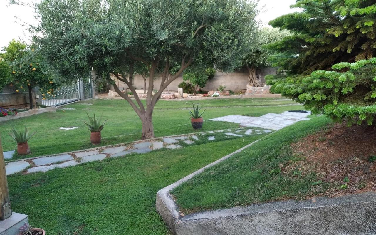 Garden House-free Transfer From Airport Holiday home *