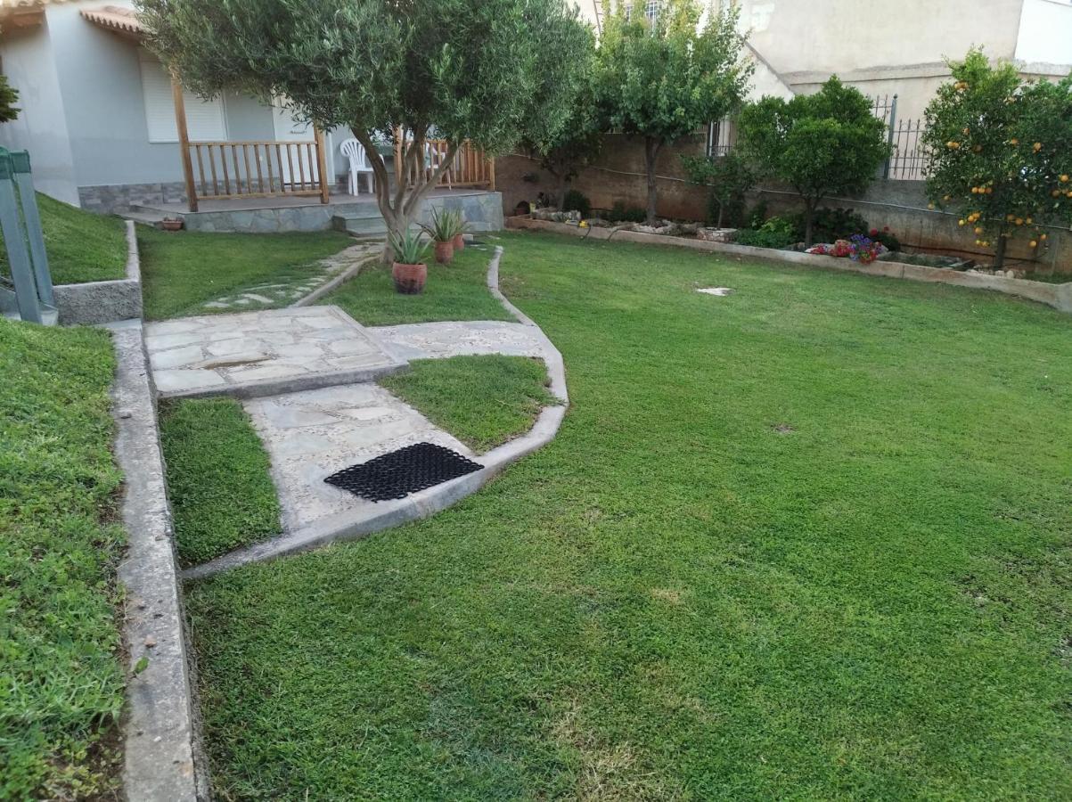Garden House-free Transfer From Airport Holiday home *