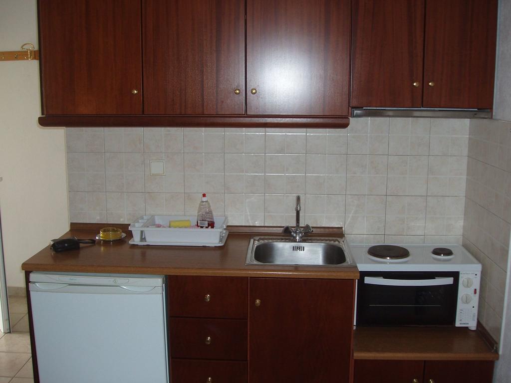 Apartment Prionas Paralia Skotinis