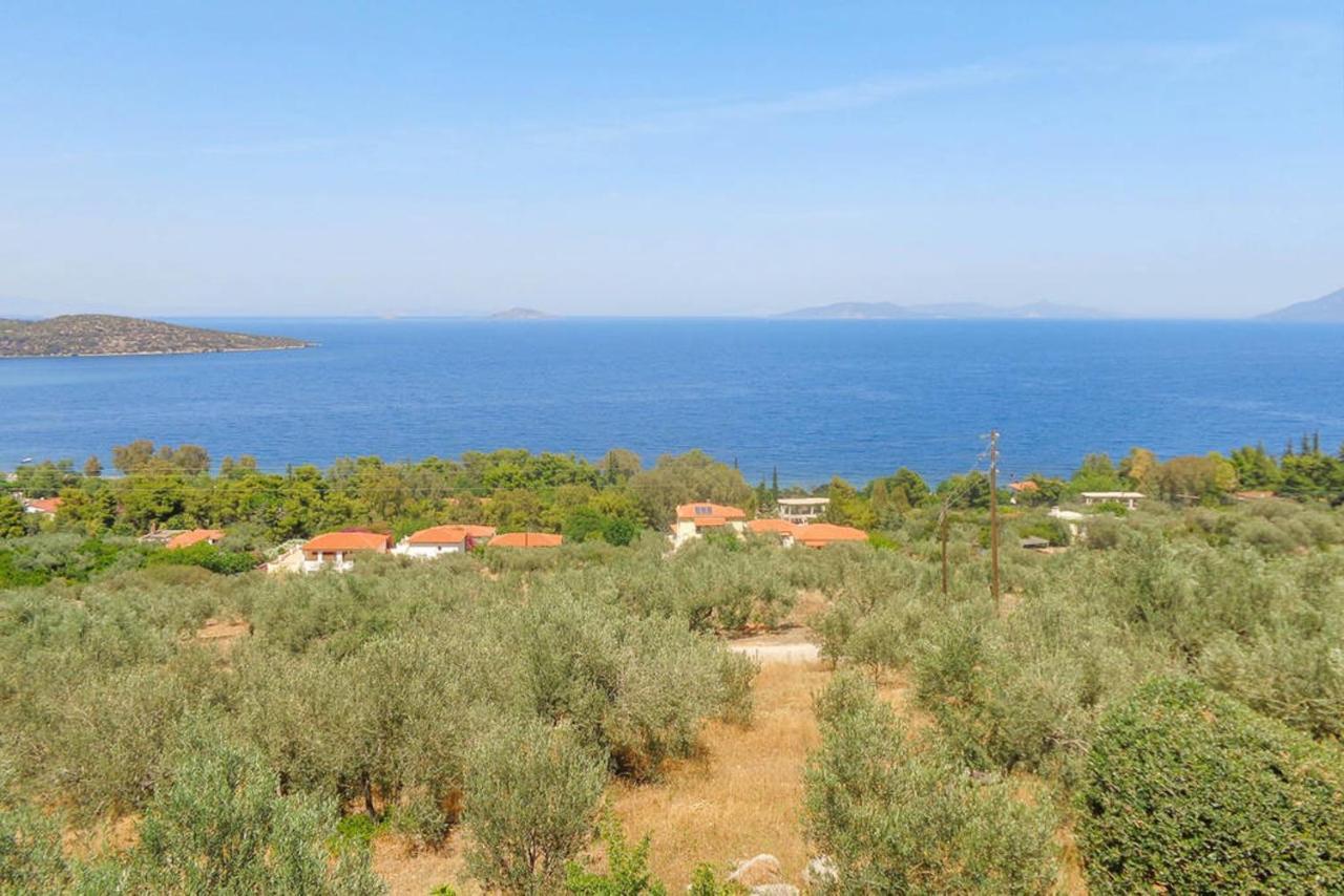 Luxury With Pool Overlooking A Majestic View Epidaurus