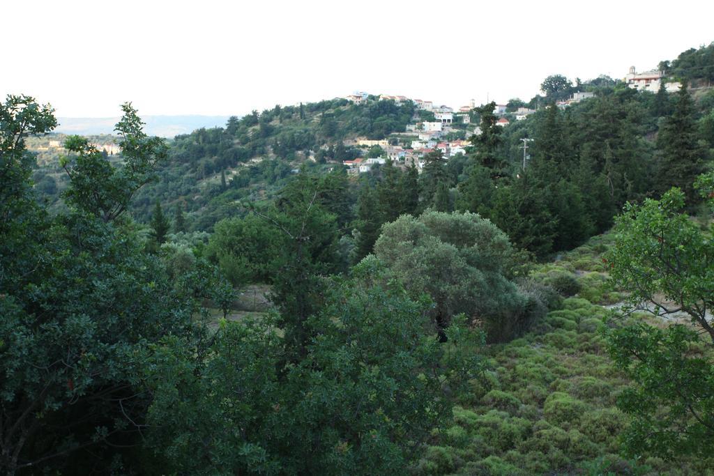 Athina Villa