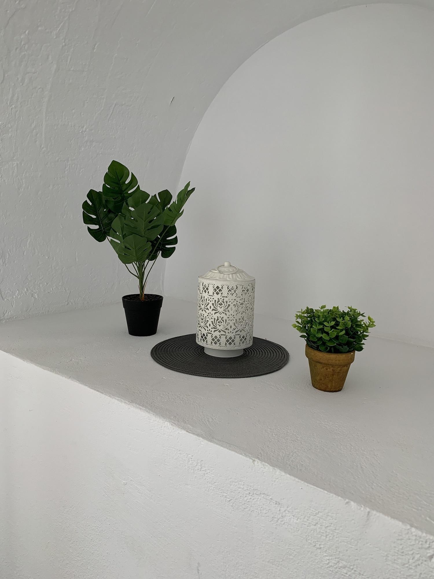 Apartment Pals *