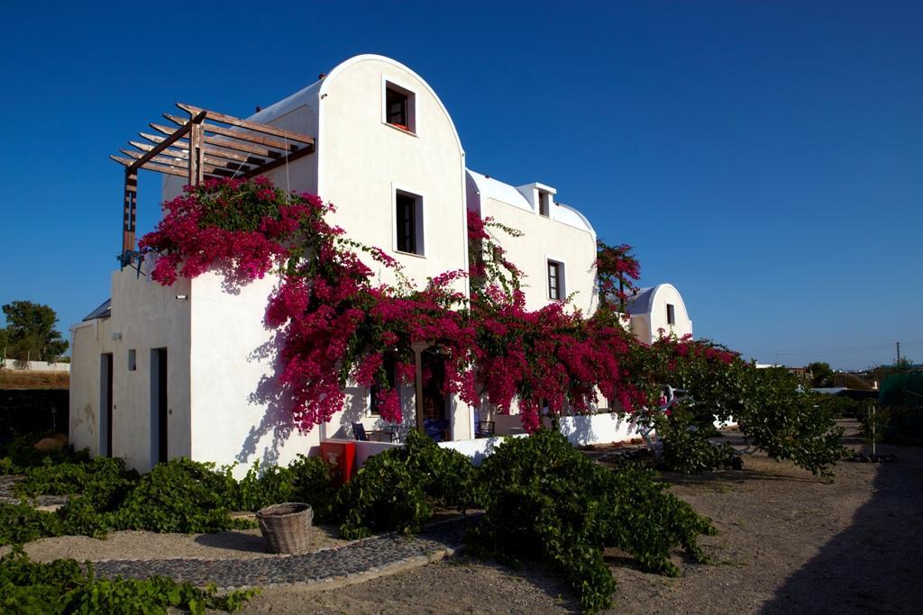 Anna Traditional Aparthotel Kamari (Santorini)