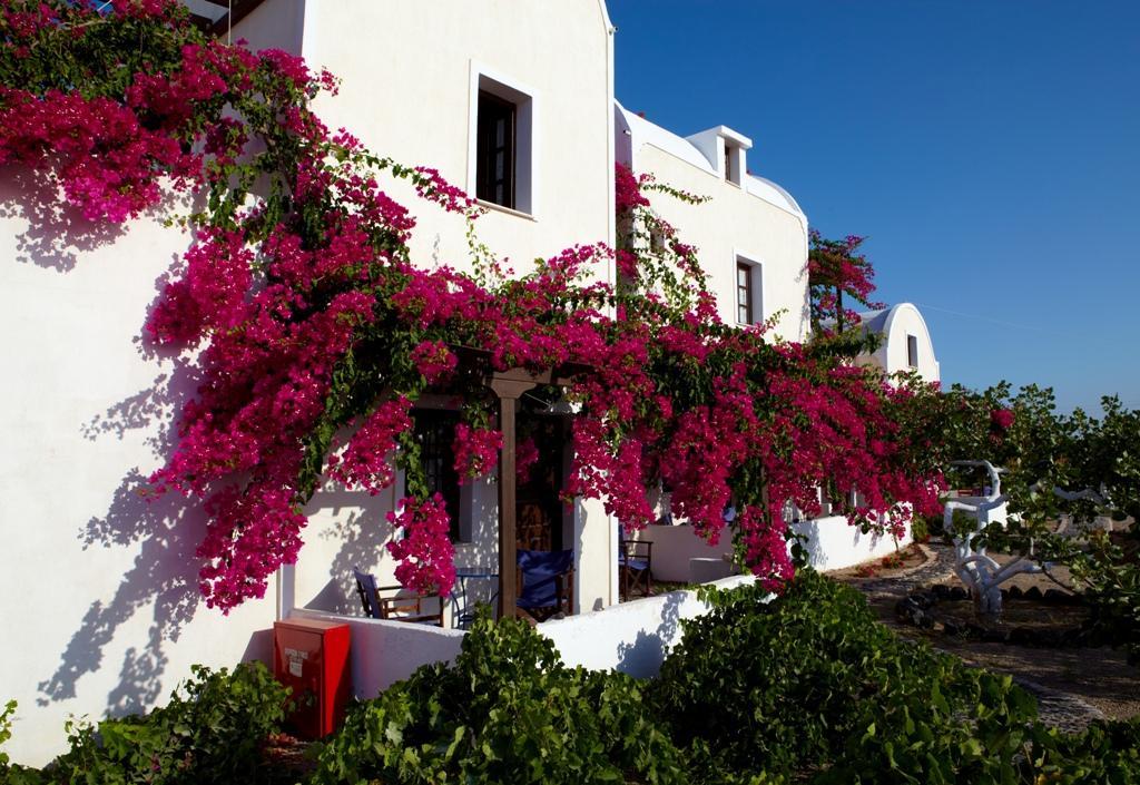 Anna Traditional Aparthotel