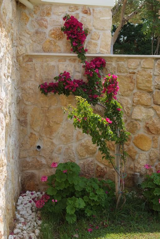 Sofia Luxury Maisonettes * Nikiti (Sithonia)