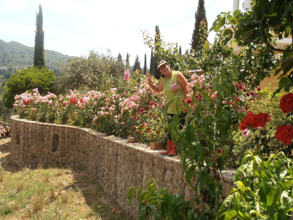 Linda House Corfu Apartment Gastouri (Corfu)