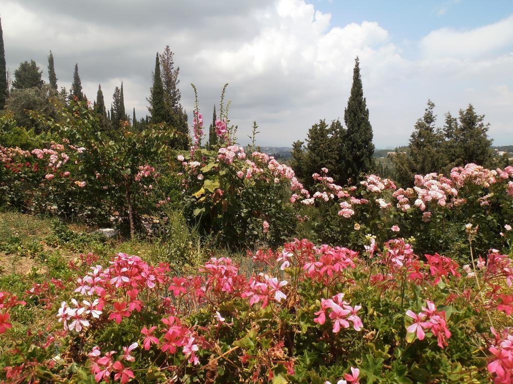 Apartment Linda House Corfu Gastouri (Corfu)