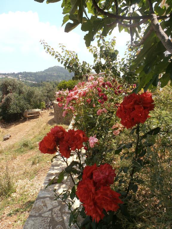 Linda House Corfu Apartment