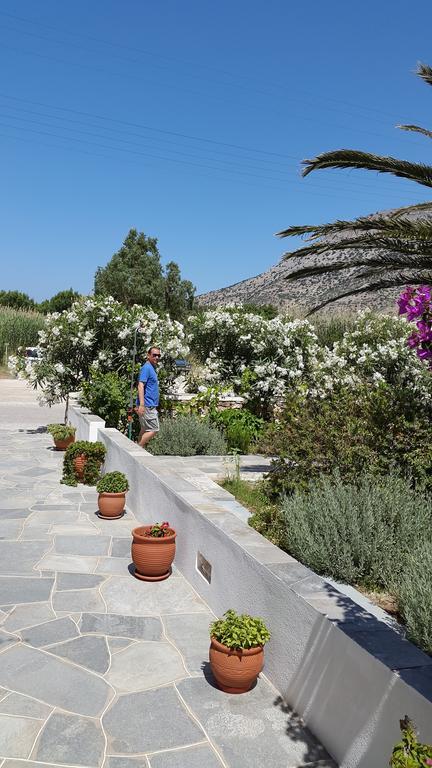 Morpheas & Guest house