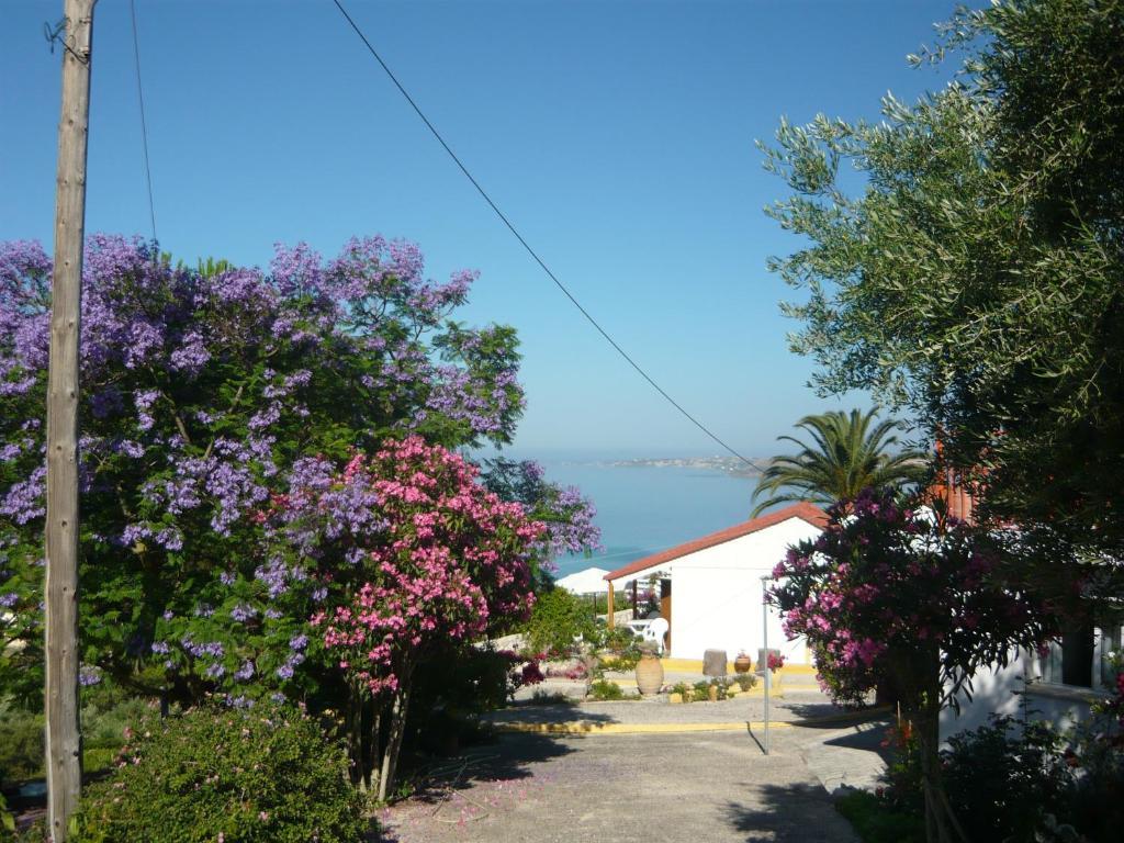 Ventura * Lassi (Kefalonia)