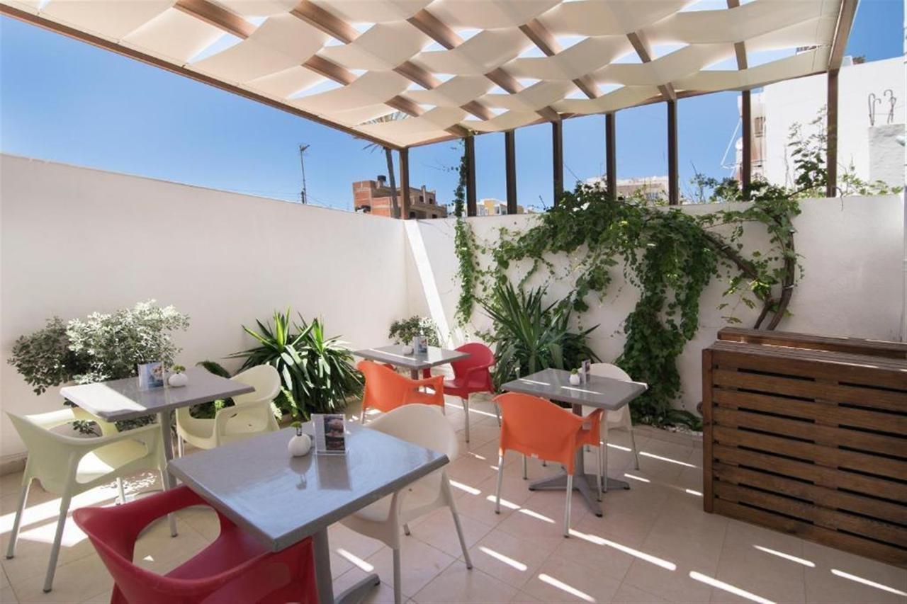 Coral Apartment