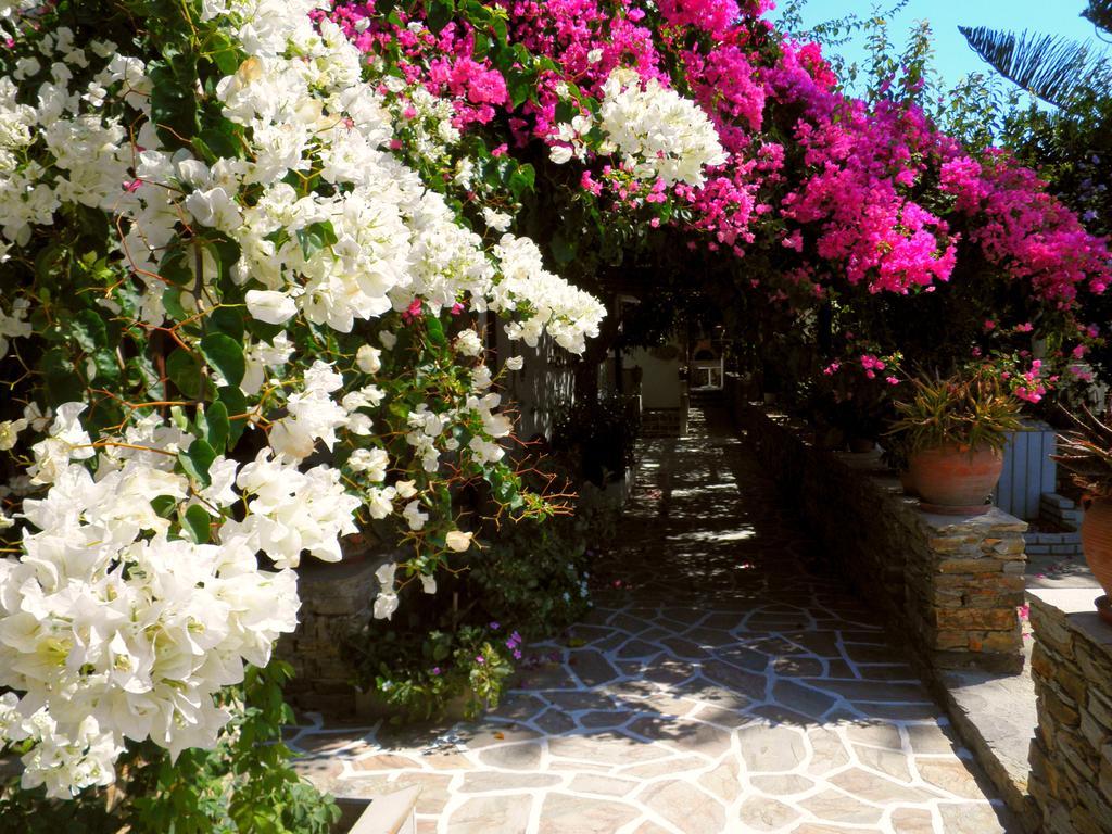 Dimitra Aparthotel Kastraki (Naxos)