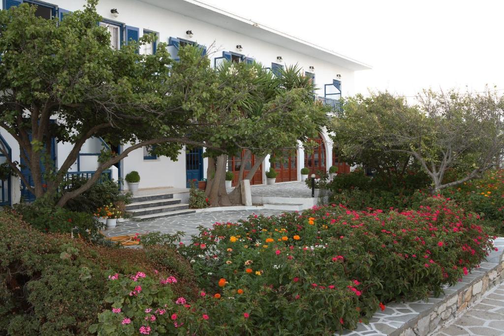 Guest house Julia Drios