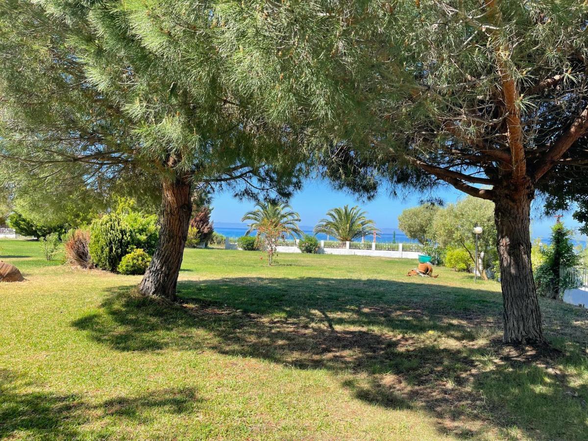 7 Person Neos Marmaras Front Holiday home Metokhion Konstamonitou