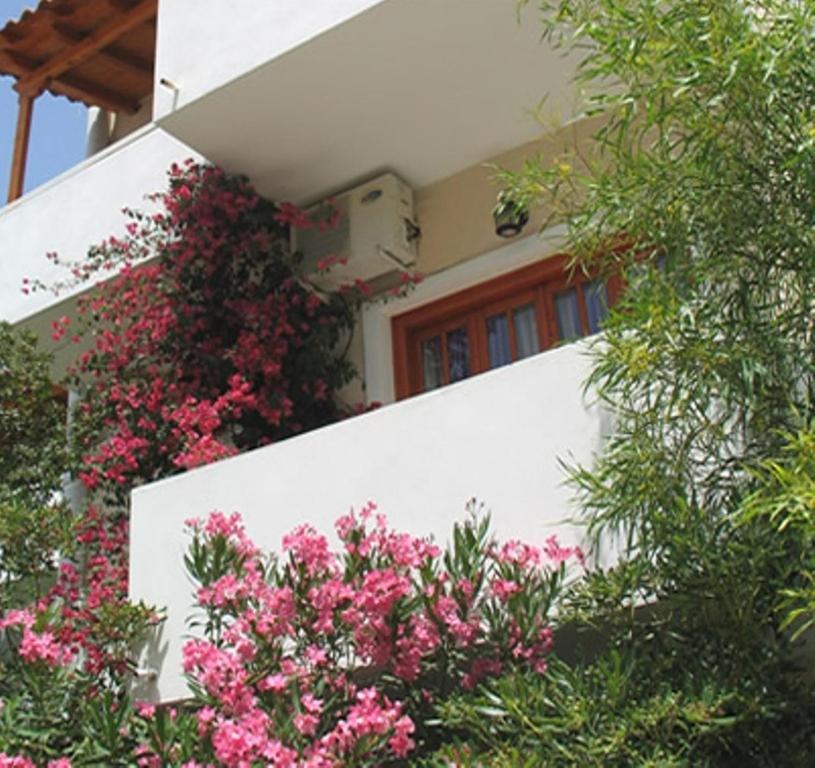 Apartment Costantonia Holiday