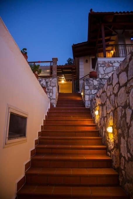 Aurelia Kefalonia *