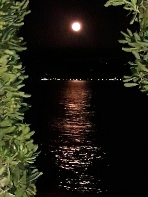 Moonlight Coast Apartment