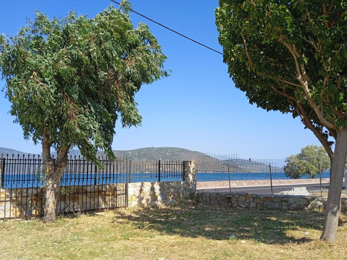 μαρία * Gera