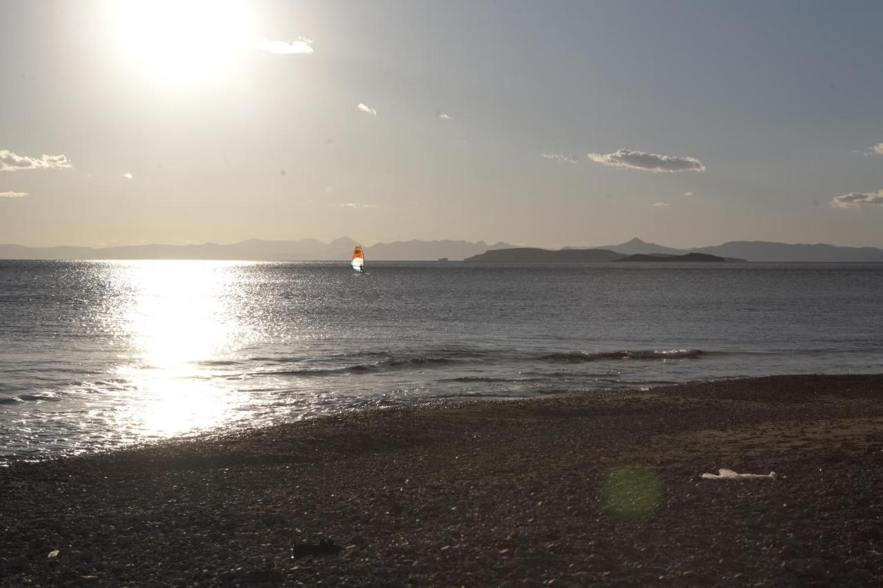 Deep Blue * Agia Marina (Attica)