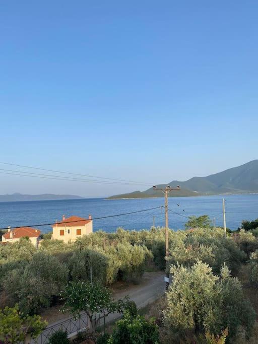 Kastanos Villa Amaliapoli