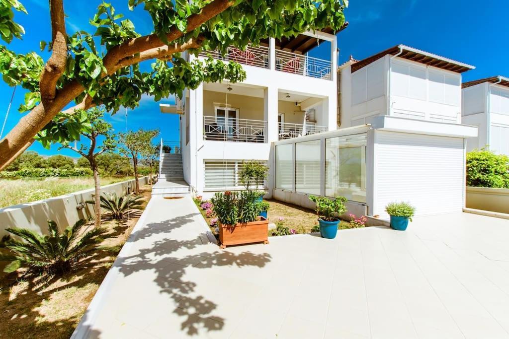 Apartment Erato