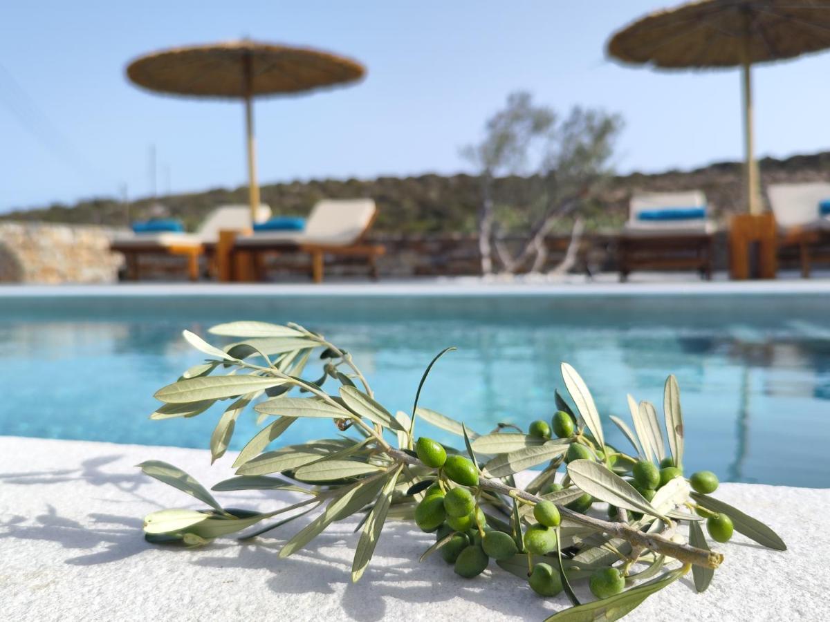 Villa Ktima Elea Andiparos