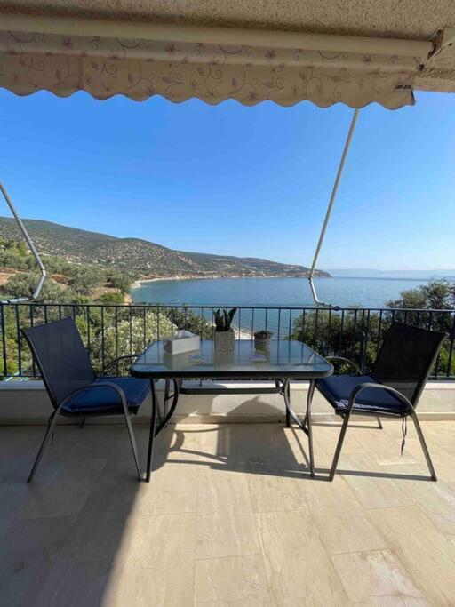 Apartment Breathtaking Oceanfront View & Private