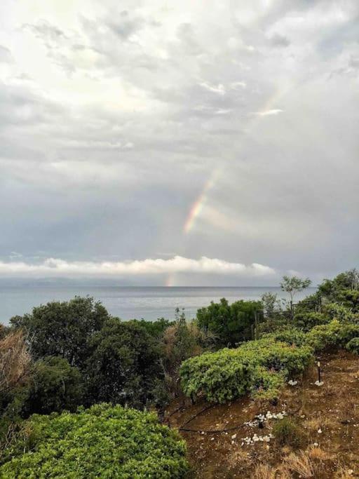 Apartment Breathtaking Oceanfront View & Private Xiropigado