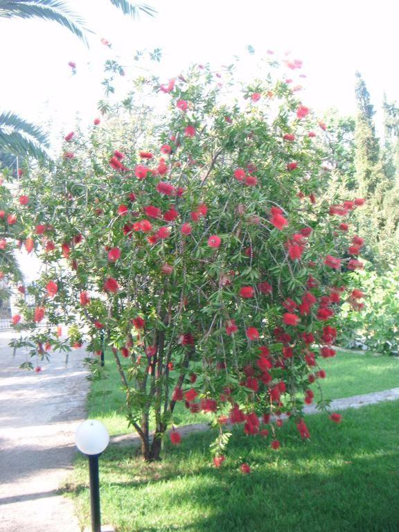 Holiday home Stefemys In Corfu Gastouri (Corfu)