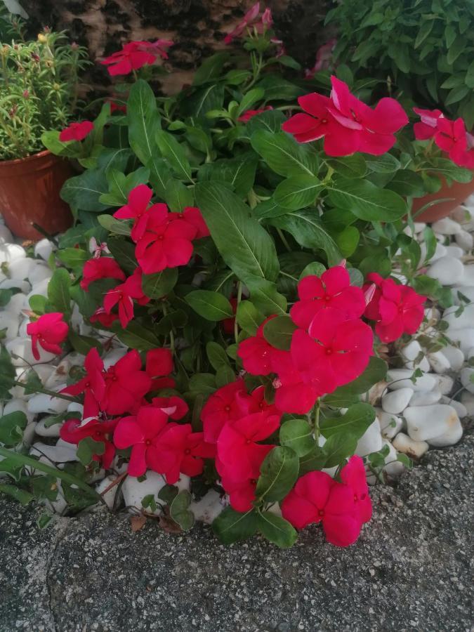 Holiday home Stefemys In Corfu *