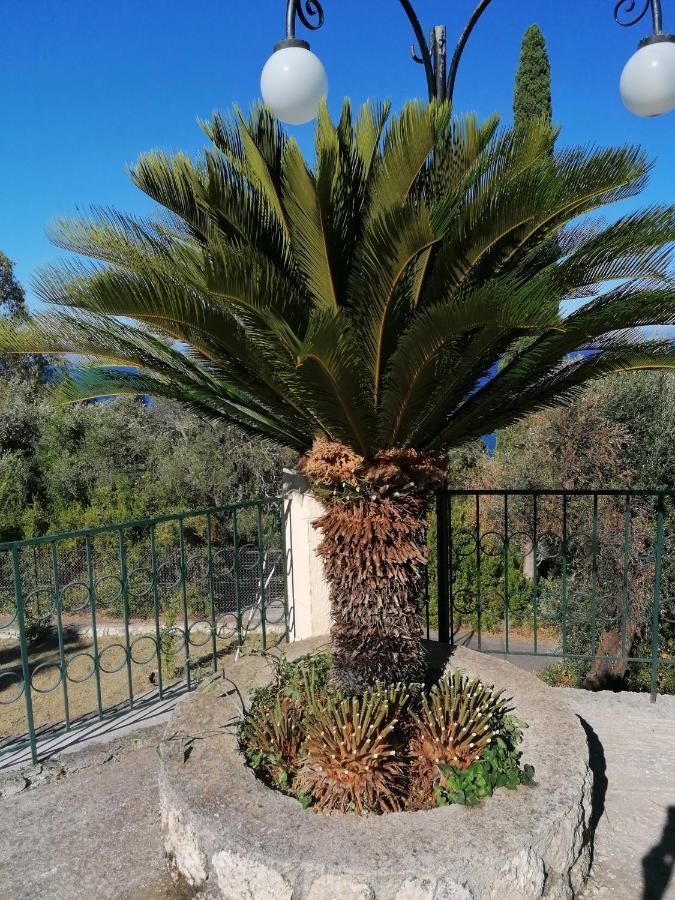 Stefemys In Corfu * Gastouri (Corfu)