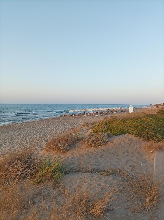 Apartment Seaview