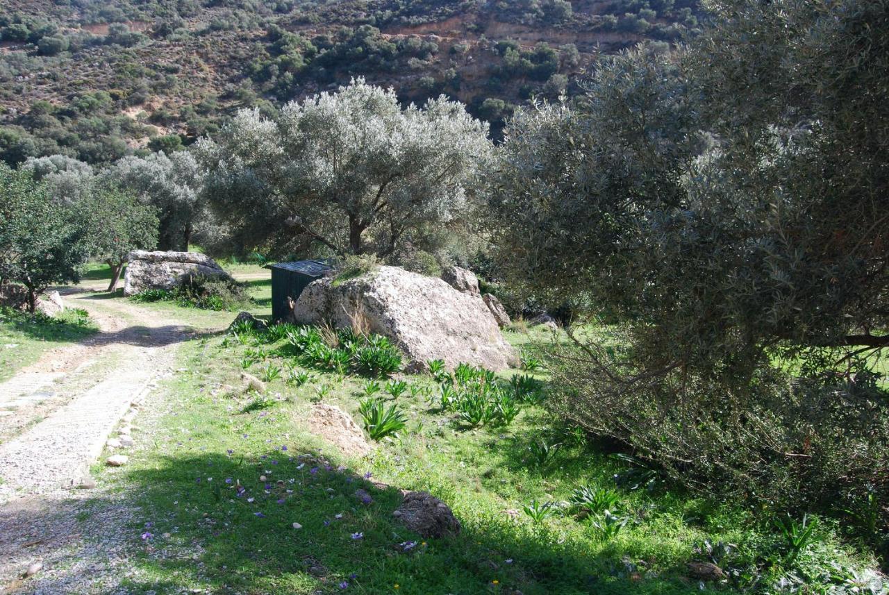 Holiday home An Oliven *