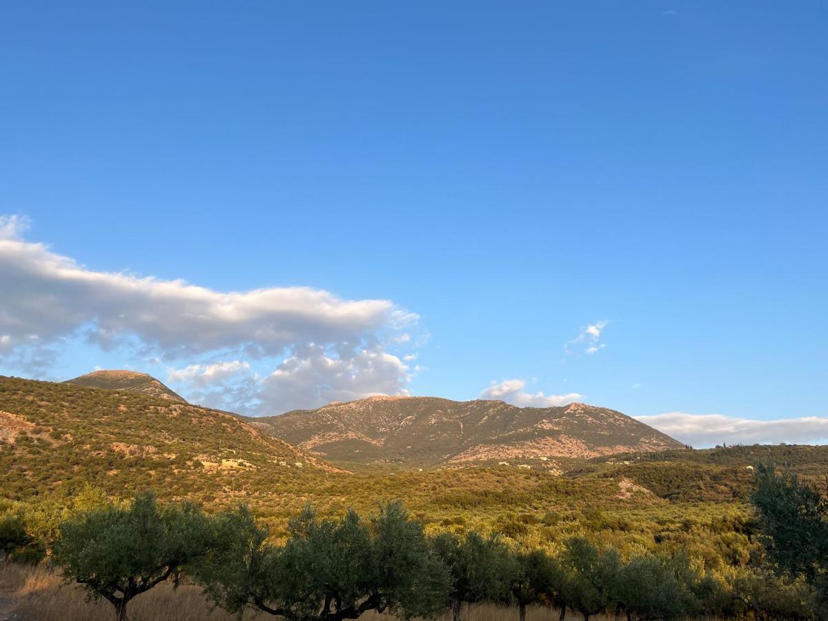 Elaionas 3