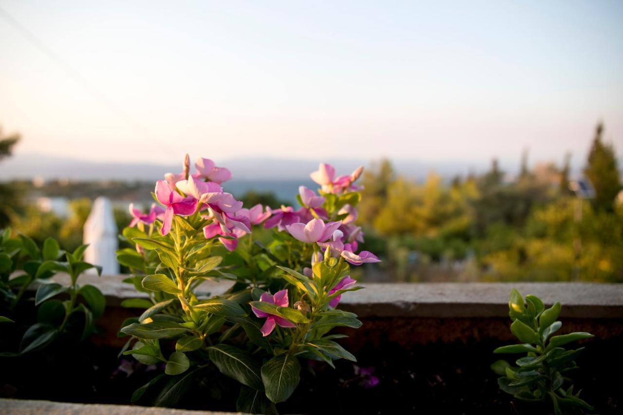 Seaview * Chalkida