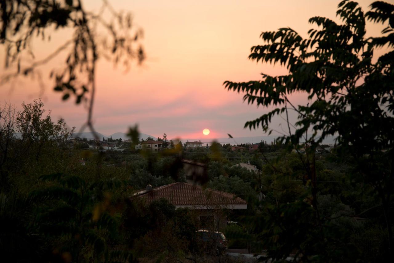 Seaview * Chalkida