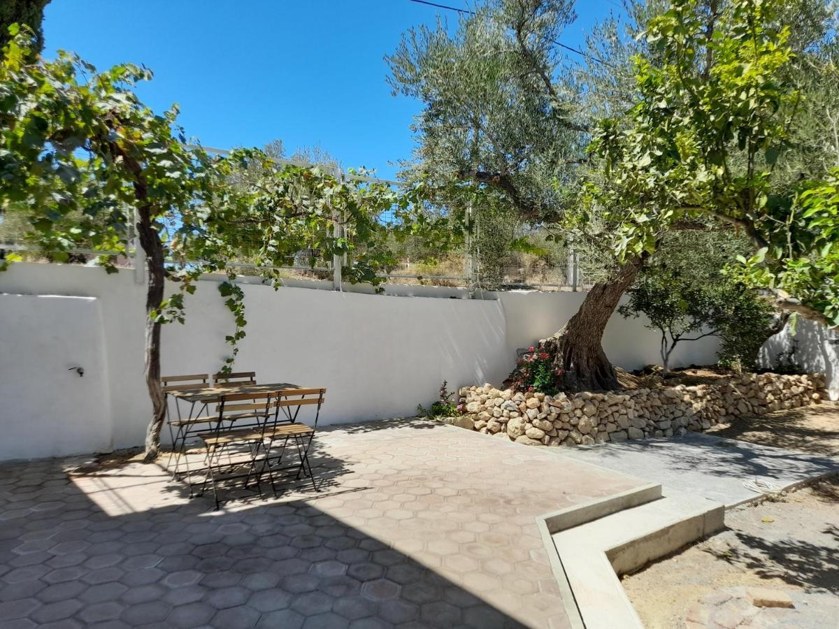Olive Tree Apartment