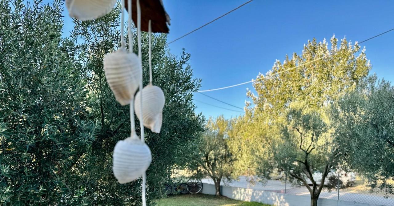 Holiday home Shell-paralia Ofriniou