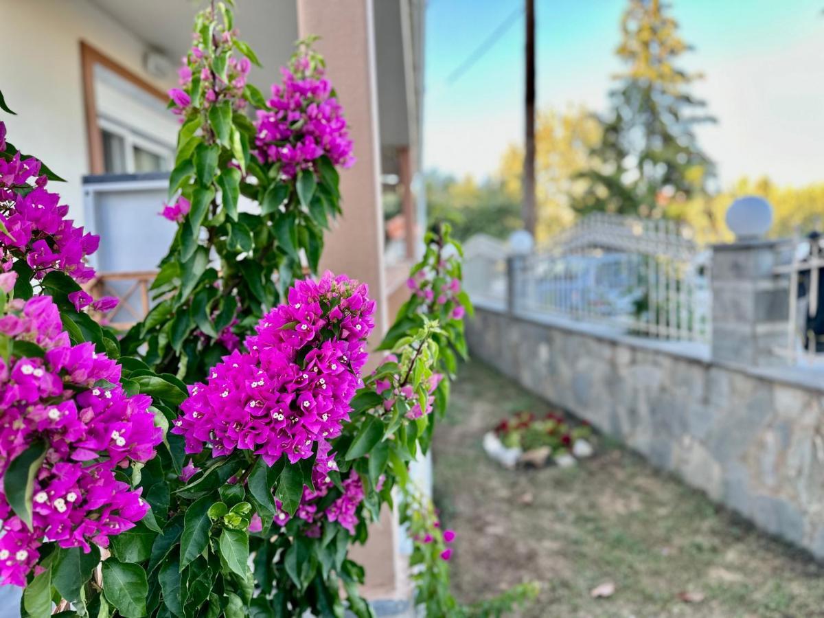 Shell-paralia Ofriniou Holiday home Ofrinion