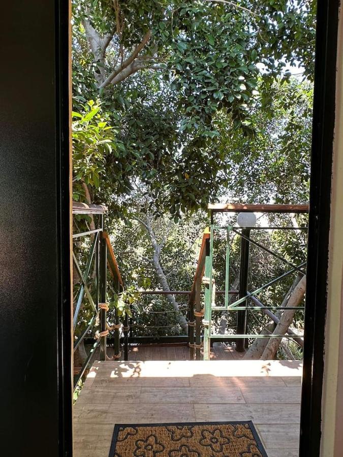 The Secret Treehouse * Hersonissos (Crete)