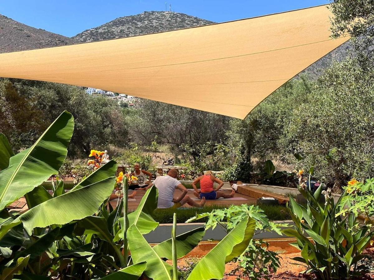 The Secret Treehouse Apartment Hersonissos (Crete)