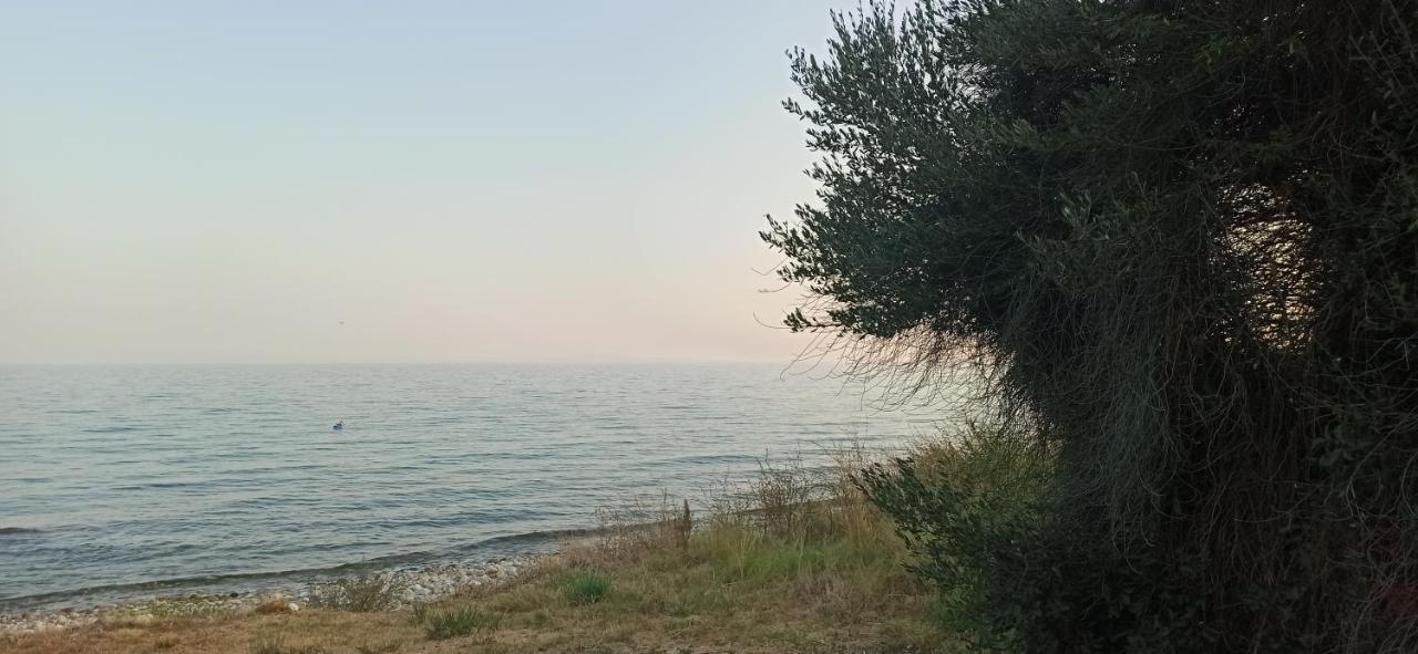 δίπλα στο κύμα -βeside The Wave *