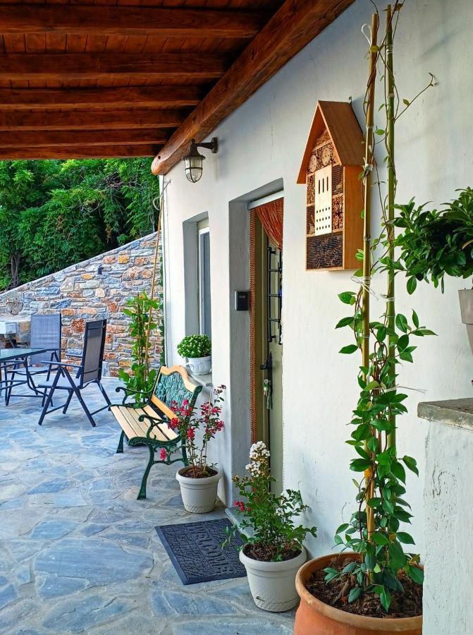 Apartment To Giataki Tou Pappou Tsagarada