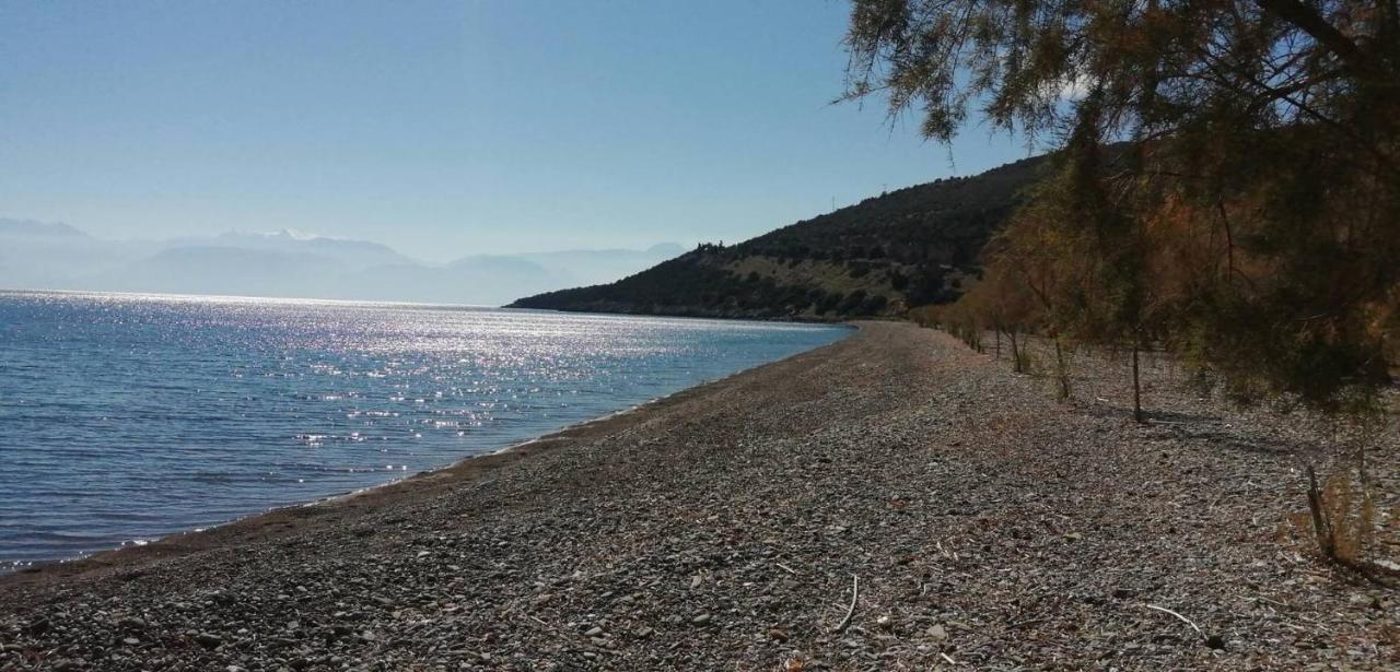 Cozy Apollon Villa, Sea View, Next To Galaxidi *