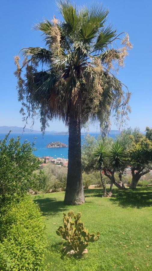 Antika 6 Guest house Tolo