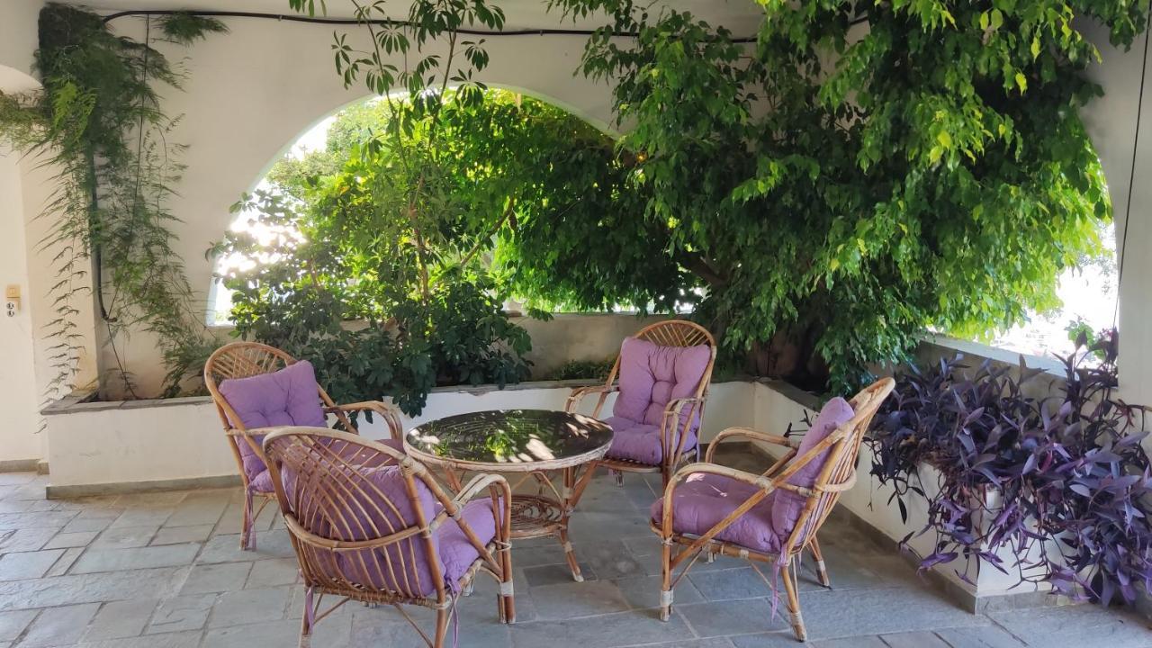 Antika 6 Guest house