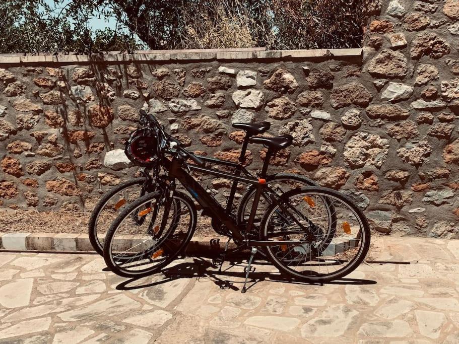 Pantazi Holiday home Riglia