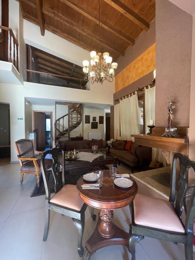 Hotel Mountain View Synikia Mesi Trikalon