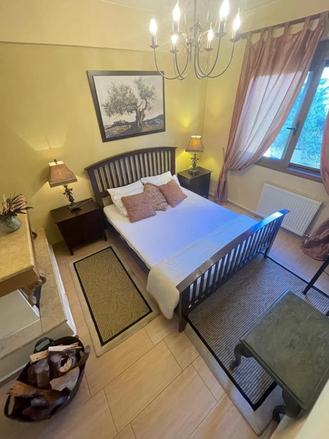 Hotel Mountain View Synikia Mesi Trikalon